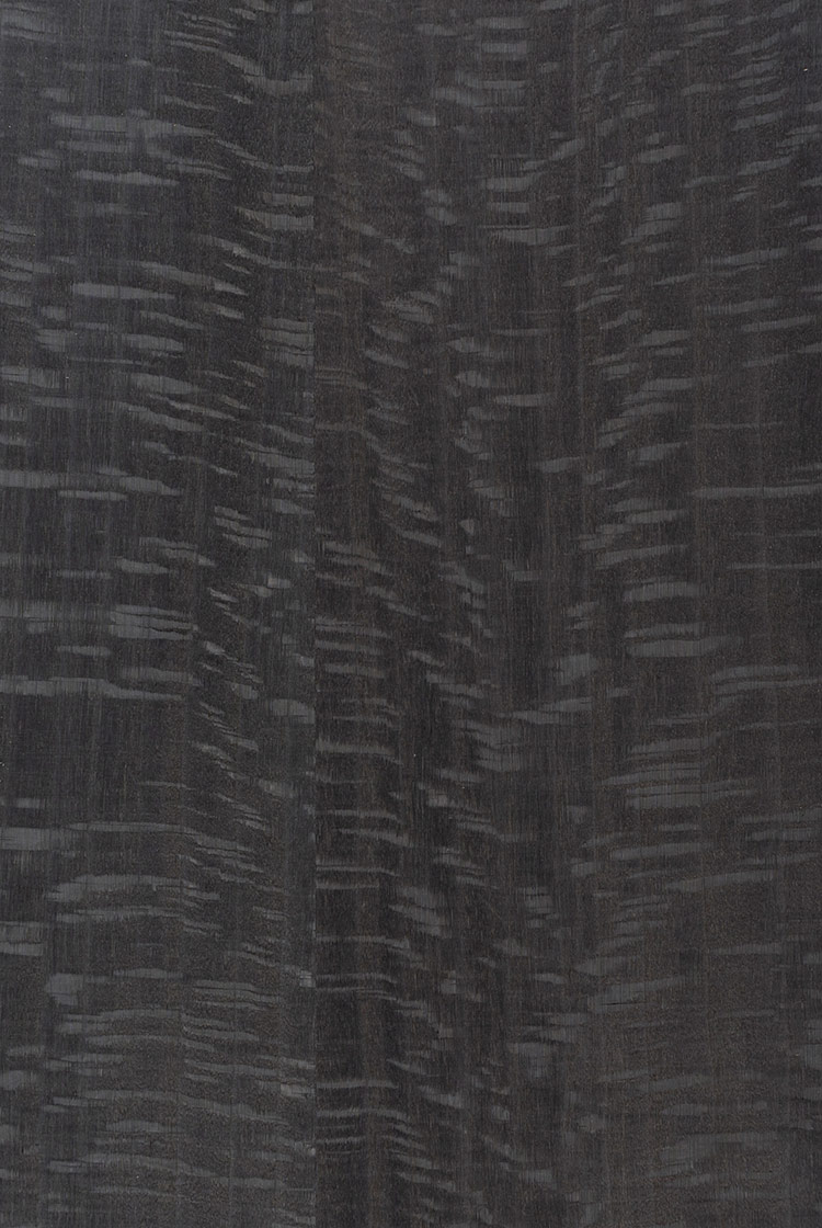 法國尼斯自然拼RS